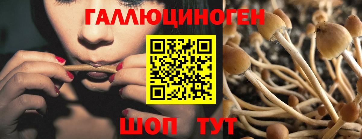 Шарыпово  Галлюциногенные грибы GOLDEN TEACHER  Галлюциногенные грибы GOLDEN TEACHER  Вход с VPN 